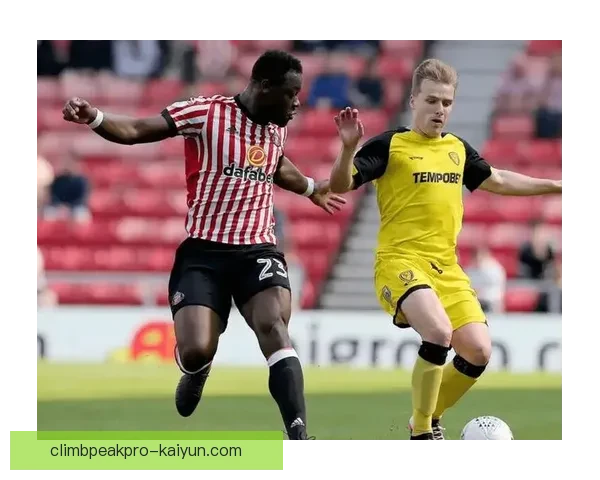 英超观赛攻略：掌握主场体验技巧，呈现最佳足球氛围