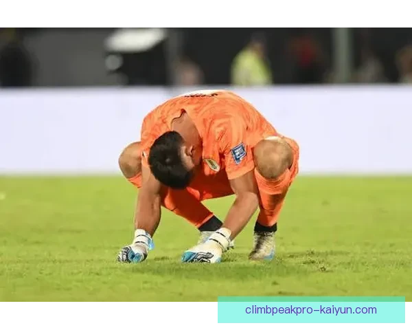 阿根廷队技术特点分析：灵活配合与个人能力并重表现稳健