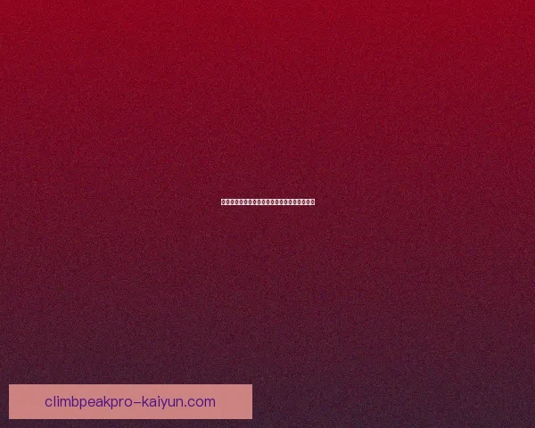 英超莱斯特转会窗表现分析，球队动态备受关注